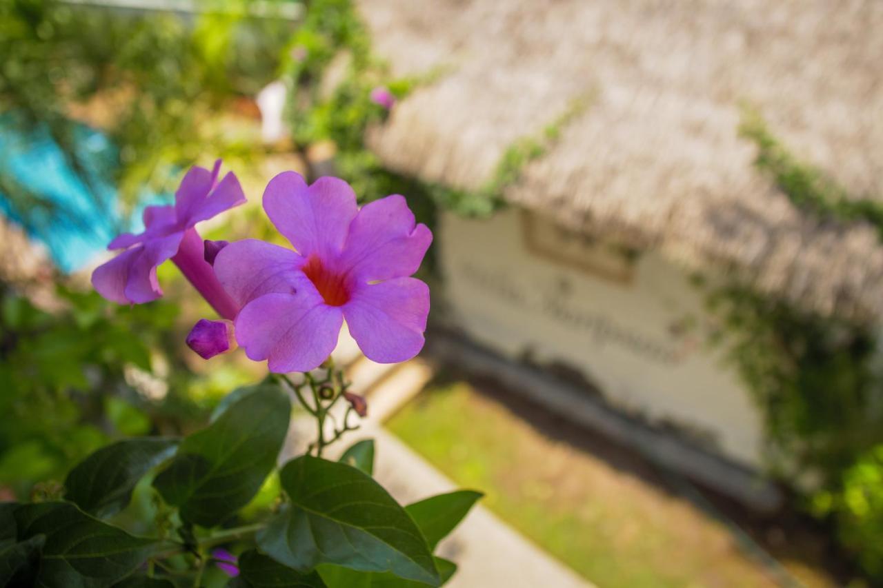 Hotel Villas Mariposas Atlixco Esterno foto