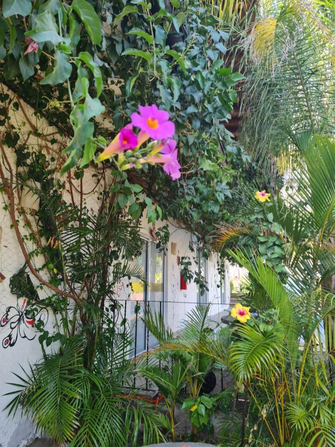 Hotel Villas Mariposas Atlixco Esterno foto